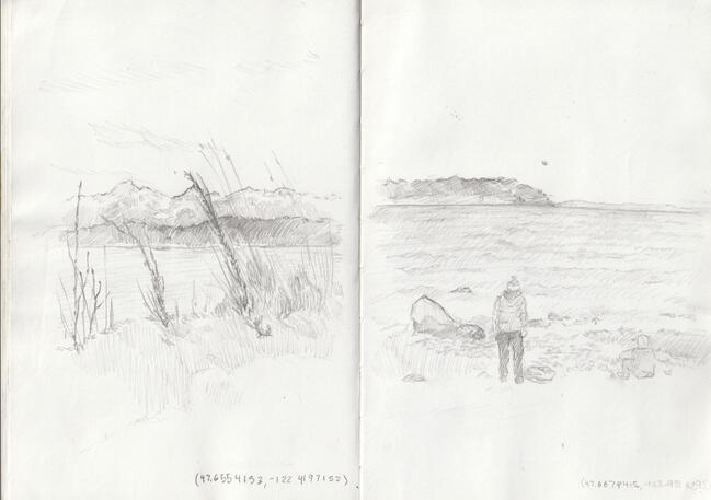 Studies from Discovery Park, Seattle. 2024.