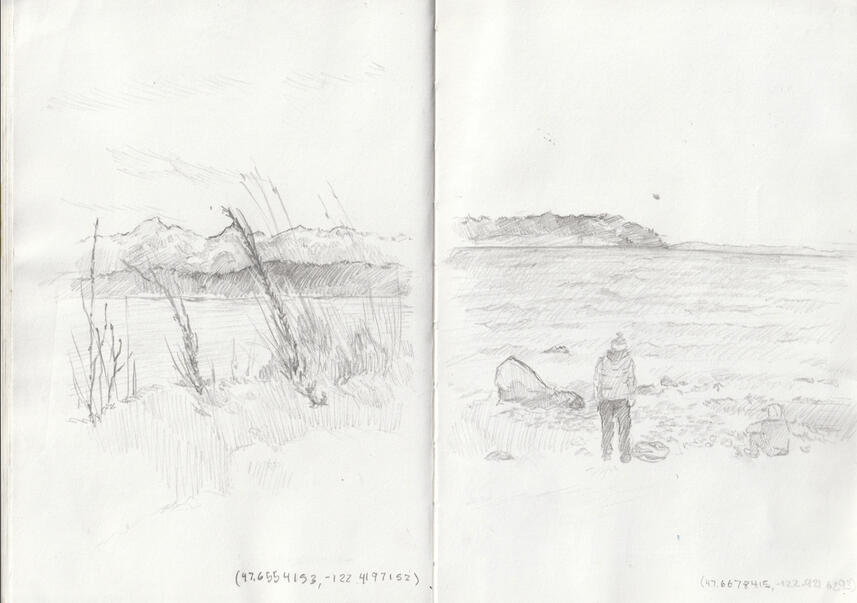 Studies from Discovery Park, Seattle. 2024.